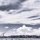 ,  2025 | : oogirook