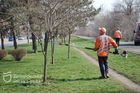 Миють світильники та доглядають за деревами: працівники благоустрою вийшли на загальноміську акцію #ЧистийДніпро та #Дніпро_квітучий