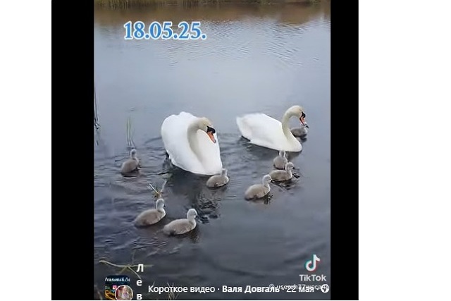   '   