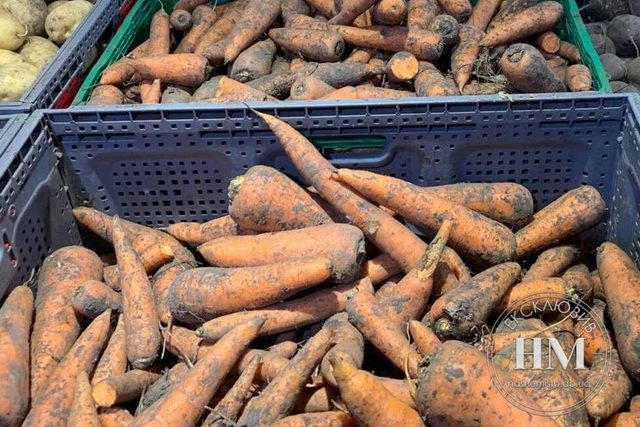 Подорожала почти в 4 раза: сколько стоит килограмм моркови в Днепре