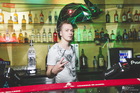 All inclusive (27.08.2015: NK Chameleon, Berlin beer club,  Ricco, )